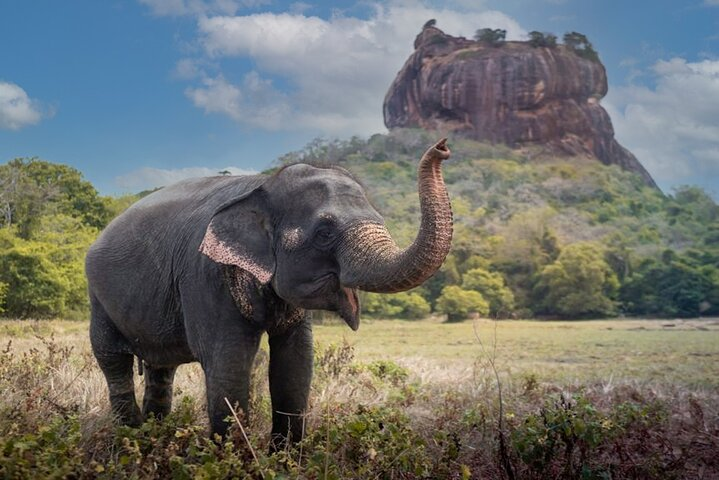 Private day Tour Sigiriya & Dambulla Cave Temple with Entrance Fee & Lunch - Photo 1 of 16